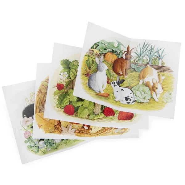4 MINI PUZZLES DES ANIMAUX (4X12 PIECES) LE JARDIN DU MOULIN