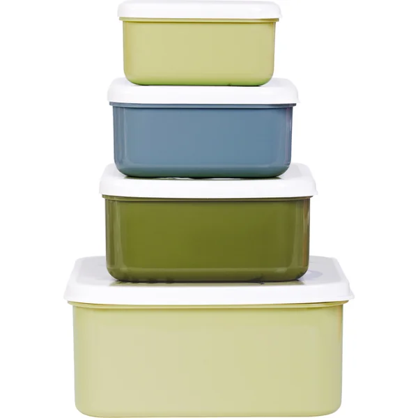 A Little Lovely Company - ensemble de quatre boîtes à déjeuner - dinosaures