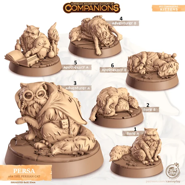 Cast n Play - Les Compagnons de Cornelias - Chats - Persans