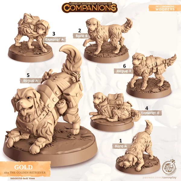 Cast n Play - Les Compagnons de Cornelias - Chiens - Golden