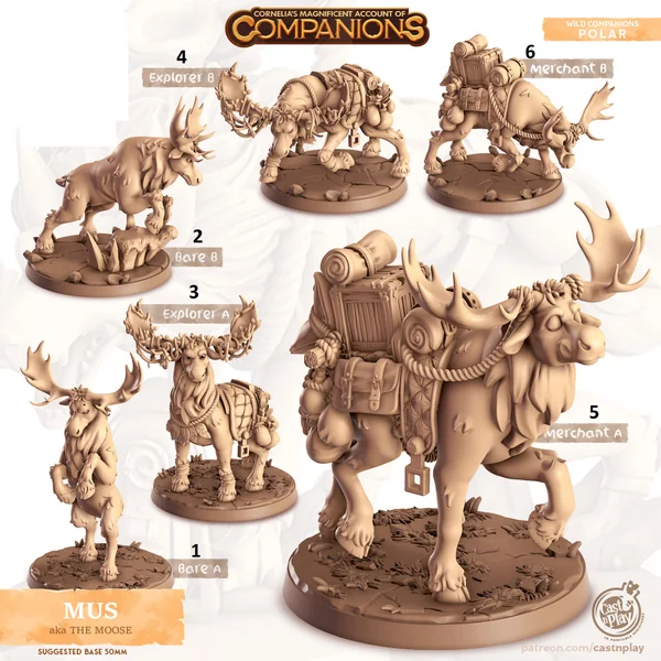 Cast n Play - Les Compagnons de Cornelias - Polaire - Elan