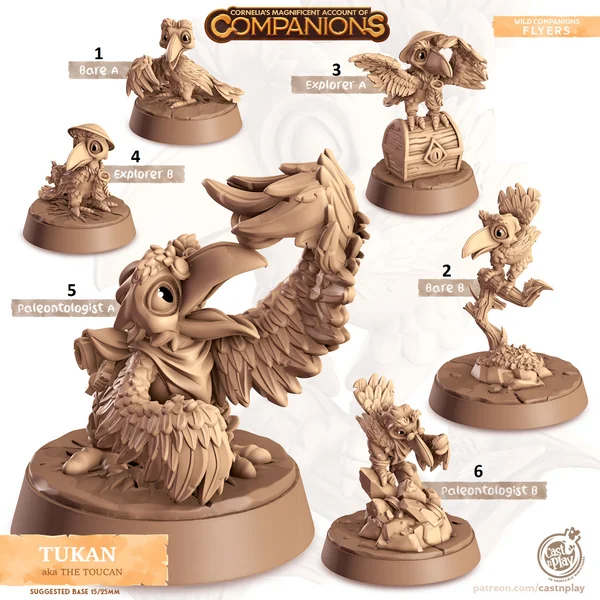 Cast n Play - Les Compagnons de Cornelias - Volants - Toucan