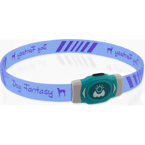 Collier Dog Fantasy LED Lumineux multicolore rechargeable L 65cm