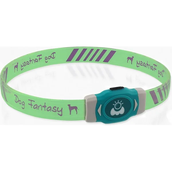Collier Dog Fantasy LED Lumineux multicolore rechargeable L 65cm