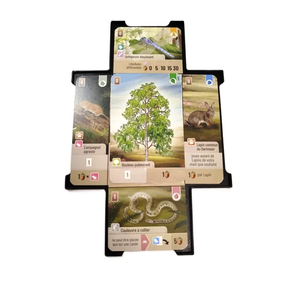 Grille de placement compatible avec Forêt Mixte et Forêt Mixte : Dartmoor