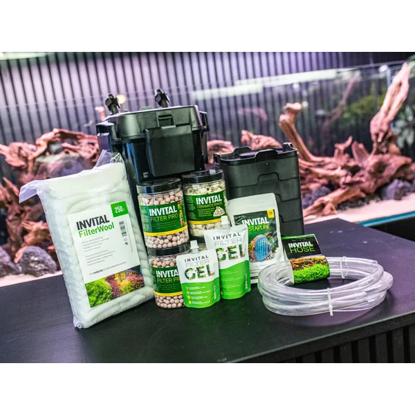 INVITAL FilterGel 250 ml bactéries pour filtration d'aquarium