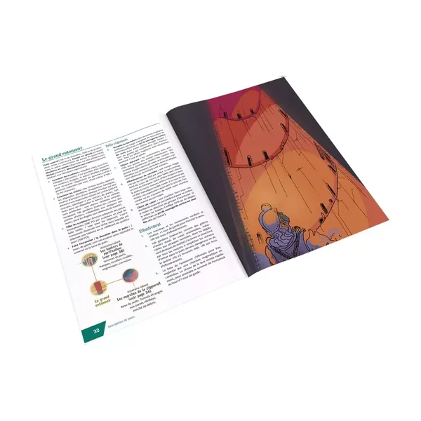 Old-School Essentials - Séisme sous la Montagne Sacrée