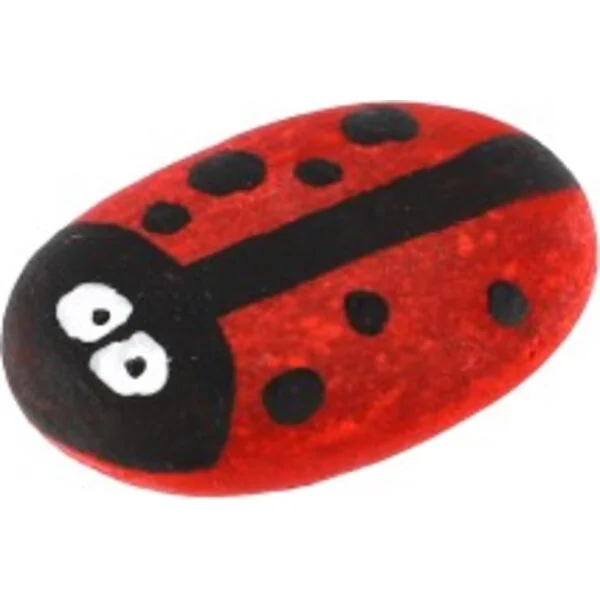 Peinture sur pierres/cailloux avec des couleurs et des pinceaux dans une boîte