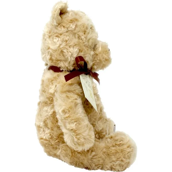 Rainbow Ours en peluche Winnie l'Ourson de la Forêt des Rêves Bleus