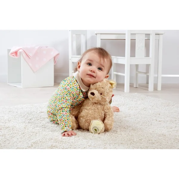 Rainbow Ours en peluche Winnie l'Ourson de la Forêt des Rêves Bleus