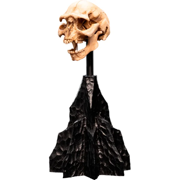 Weta Workshop Le Seigneur des Anneaux - Crâne d'un Orc de la Moria Miniature